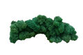 Muwse Islandmoos 50g Spur 0  Kopf gereinigt Diorama Landschaft Moos Auswahl