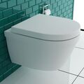 Alpenberger Wand WC Spülrandlose Toilette Dusch WC Bidet inkl WC Sitz Made in EU