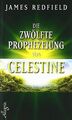 Die zwölfte Prophezeiung von Celestine von Redfield... | Buch | Zustand sehr gut