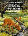 Weißt du, wo die Tiere wohnen? | Buch | 9783789109416