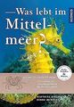 Was lebt im Mittelmeer? von Bergbauer, Matthias, Humberg... | Buch | Zustand gut