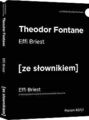 Effi Briest von Fontane, Theodor | Buch | Zustand sehr gut