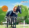 Ostwind. Das Turnier  Weihnachten auf Kaltenbach: Zwei ... | Buch | Zustand gut