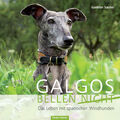 Galgos bellen nicht von Gudrun Sauter