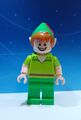 LEGO® Disney Minifigur Peter Pan aus dem Set 43212 Geburtstagszug * NEU & Unbesp