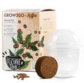 GROW2GO Zwergkaffee Strauch Set zum selber Pflanzen (inkl. Mini-Gewächshaus)