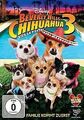 Beverly Hills Chihuahua 3 - Viva la Fiesta! von Lev ... | DVD | Zustand sehr gut