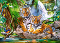 Castorland  B-030385 Tiger Falls, Puzzle 300 Teile