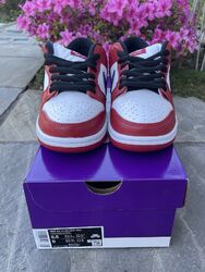 Nike SB Dunk Low Pro J-Pack Chicago