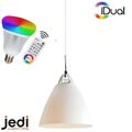 iDual Jedi Lampe Read 20 LED RGB Hängeleuchte Pendellampe Esstischlampe Smart