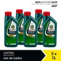 Castrol Magnatec 5W-30 A3/B4 VW Renault Mercedes MB API SL 5x1 Liter = 5 Liter