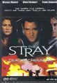 THE STRAY - Der Racheengel - Thriller mit Michael Madsen - DVD - Neu & OVP