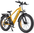 ENGWE E26 E Bike E Mountainbike 26 Zoll 250W Elektrofahrrad  48V 16Ah 7 Gänge