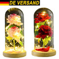 LED Die Schöne und das Biest Ewige Rose im Glas Geburtstagsgeschenk Valentinstag