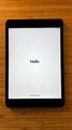 iPad mini 2, WIFI, 32GB, Spacegrau