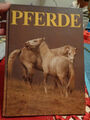 Pferde