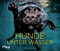 Riva Buch 'Hunde unter Wasser' Einheitsgröße Schwarz Gelb Blau