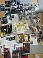 Sid Vicious/Sex Pistols/Westwood/Jordan 29 Prints& A4 Bundle/Viv/Punk/Slits/Sue