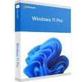 windows 11 professional 64 bit usb