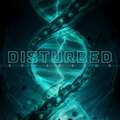 Disturbed: Evolution - Reprise  - (Vinyl / Rock (Vinyl))