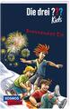 Die drei ??? Kids 40: Brennendes Eis | Ulf Blanck | Taschenbuch | Die drei ??? k