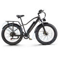 26 Zoll EBIKE Damen Herren Elektrofahrrad 48V 20Ah E-Fahrrad Pedelec City ebike