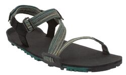 Xero Shoes Z-Trail EV  Herren Sandalen