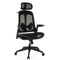 Ergonomischer Bürostuhl Drehstuhl Mesh Chefsessel Lordosenstütze hjh OFFICE