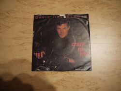 Single: David Hasselhoff Crazy For You Radio Edit / Crazy For You Album Version