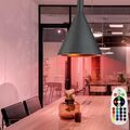 RGB LED Luxus Decken Hänge Leuchte Dimmer FERNBEDIENUNG ALU Pendel Lampe schwarz