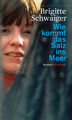 Wie kommt das Salz ins Meer | Roman | Brigitte Schwaiger | Taschenbuch | 134 S.