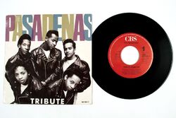 The Pasadenas - Tribute / I Believe 7" Vinyl NM/VG+ AU766