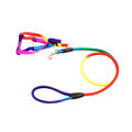  Strickleinen Für Hunde Stylish Dog Leash and Collar Colorful