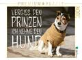 CALVENDO Puzzle Jack Russell Terrier mit modebewußtem Hundeanzug 2000 Teile Lege