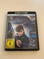 4K + Blu-ray - Phantastische Tierwesen Und Wo Sie Zu Finden Sind