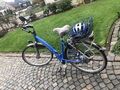 elektrische fahrrad