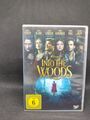 Film Into the Woods DVD Zustand gut FSK 6 Fantasy Disney