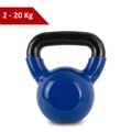 Kettlebell Kugelhantel Kugelgewicht Schwunghantel Rundgewicht 2-20kg