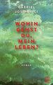 Wohin gehst du, mein Leben?: Roman von Gabriel Jo... | Buch | Zustand akzeptabel