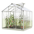 Gewächshaus Tomatenhaus Aluminium Treibhaus Fundamentrahmen Polycarbonat Platten