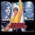 Karate Warrior