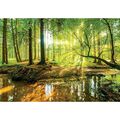 Fototapete-TEICH IM WALD-(10513P10C)-VLIES-Tapete-Pflanzen Sonne Baum  Fluss