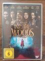 Disney: Into the Woods (DVD)