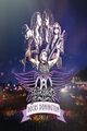 Aerosmith - Rocks Donington 2014 [+ 2 Audio-CDs]