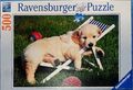 Puzzle GOLDEN REDRIEVER 500 Teile