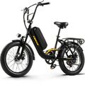 E-Bike 20 Zoll Elektrofahrrad 750W Damen E Mountainbike 48V 15AH Trekking ebike