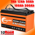 12V 100Ah LiFePO4 Akku Lithium Batterie BMS für Boot Solarbatterie Reservestrom