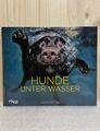 Hunde unter Wasser - Seth Casteel