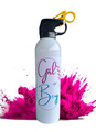 Gender Reveal Spray, Farbspray, Geschlechtsenthüllung, Feuerlöscher Groß & Klein