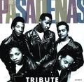 The Pasadenas - Tribute 7in 1988 (VG+/VG+) '